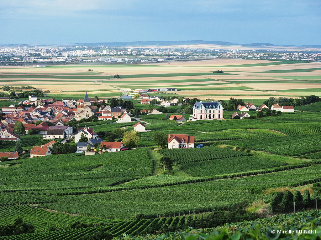 Acheter du champagne en direct du producteur