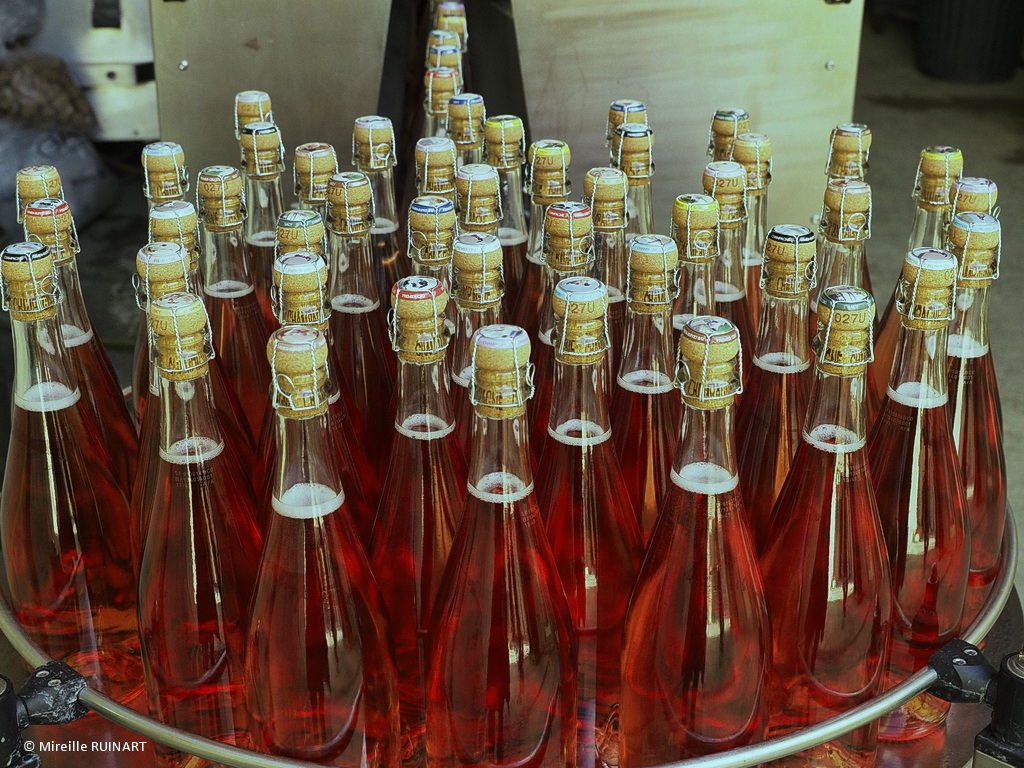 Capsules de Champagne Patrimoine Reims,Verzenay Nouveauté Octobre 2019
